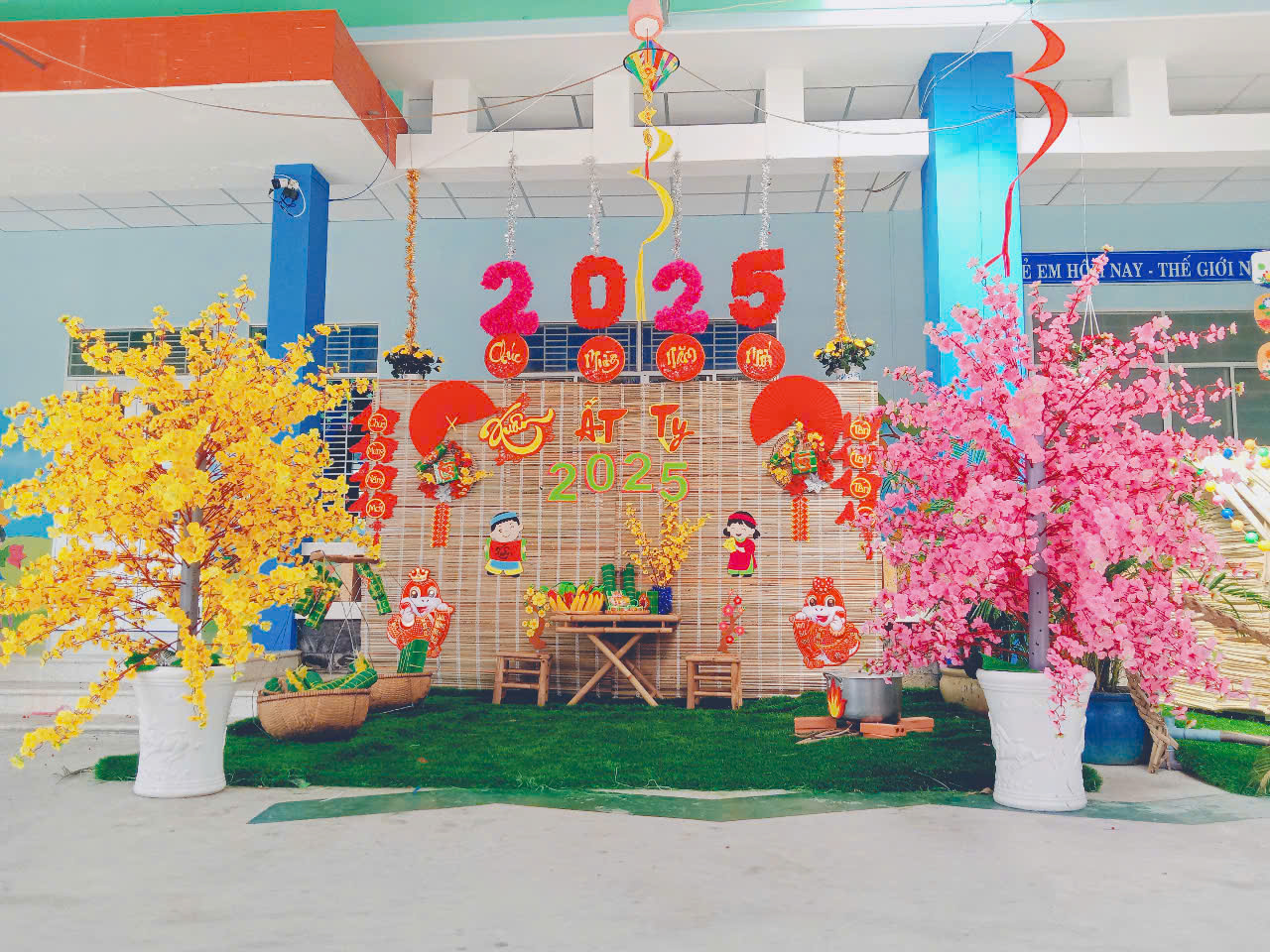 tết hoa mai